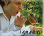 I Am A Bird
                          !